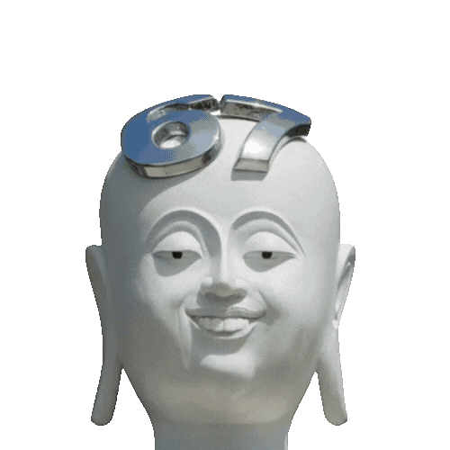 Meme Coin Animation